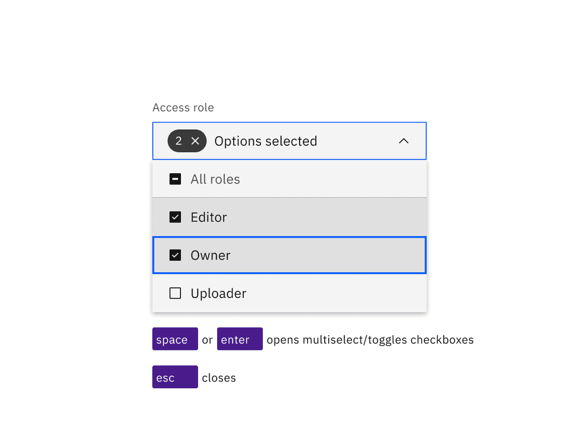 Space and Enter keys open multiselects and toggle the selection of checkbox options. Esc closes.